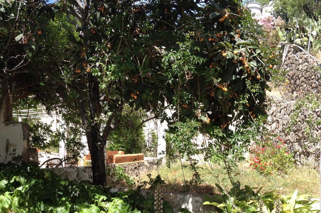 Penzion Casa Del Caminero En Tejeda Exteriér fotografie